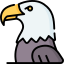 Eagle Eagle